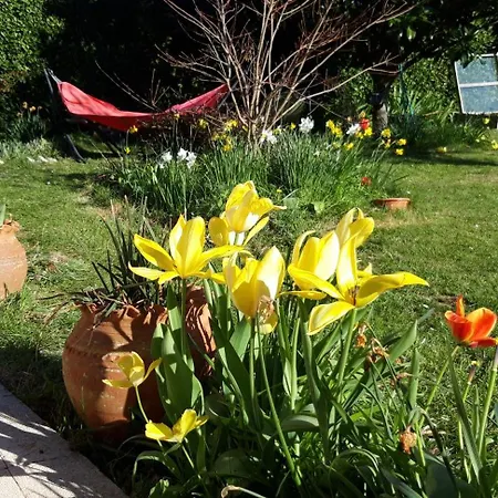 Homestay Chez Loti 2 Louviers